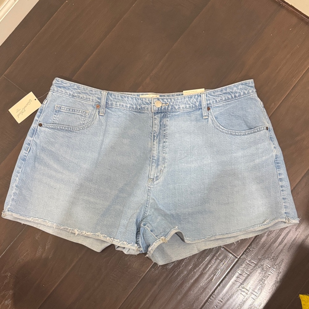 Plus Size Universal Thread Blue High Rise 90s CutOff Shorts sz 22 NWT